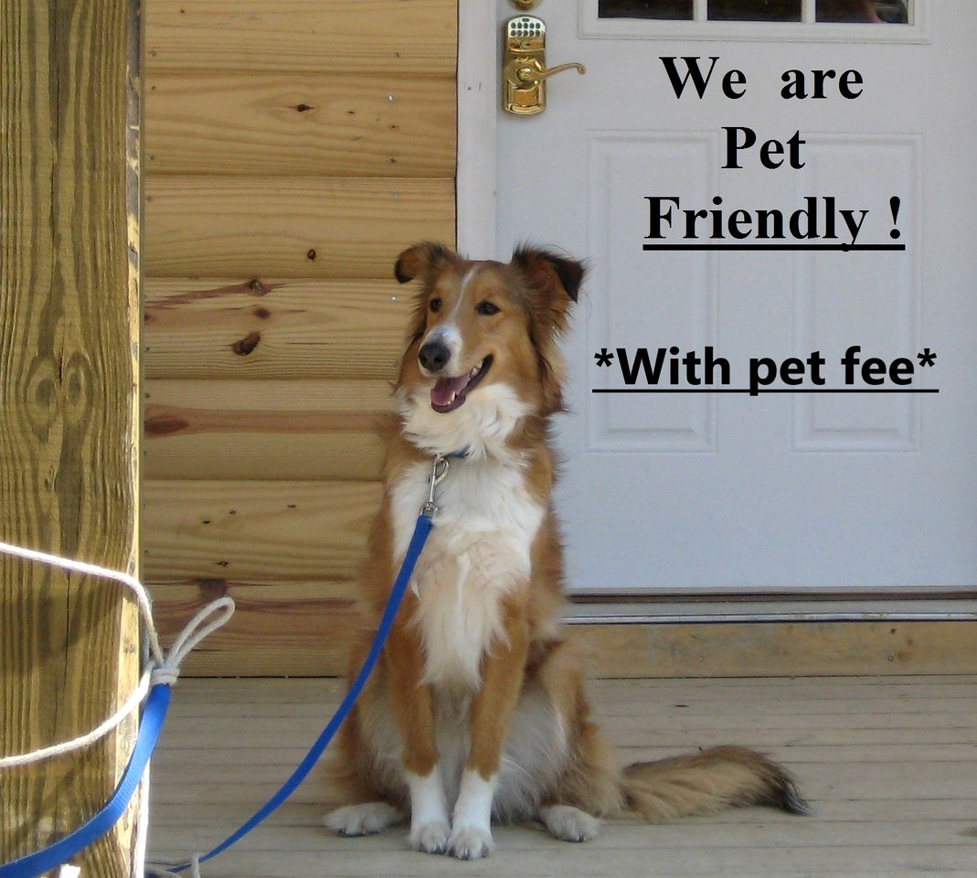 Amazing Pet-Friendly Cabin Rental near Summersville Lake in Fayetteville, West Virginia