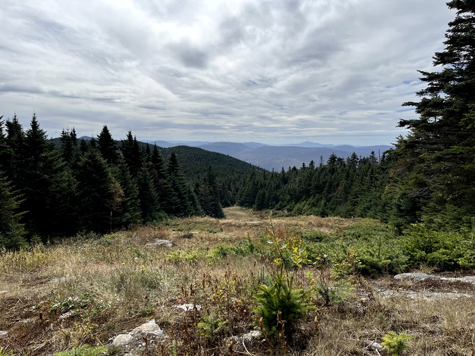 Log Cabins (United States of America, West Dover, Vermont)
