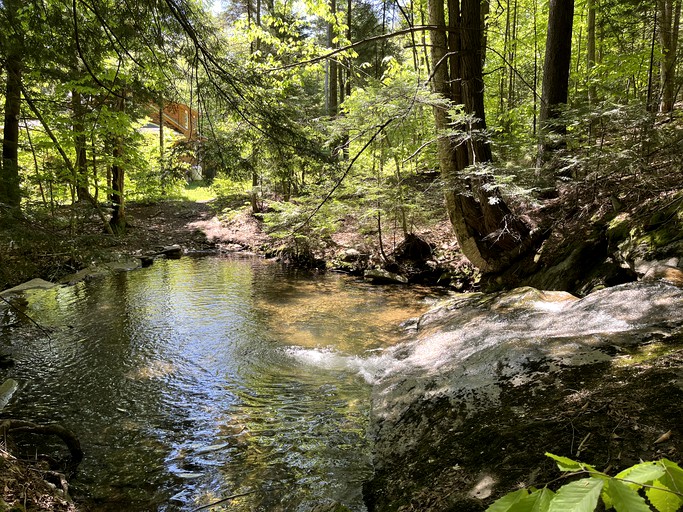 Log Cabins (United States of America, --, Vermont)