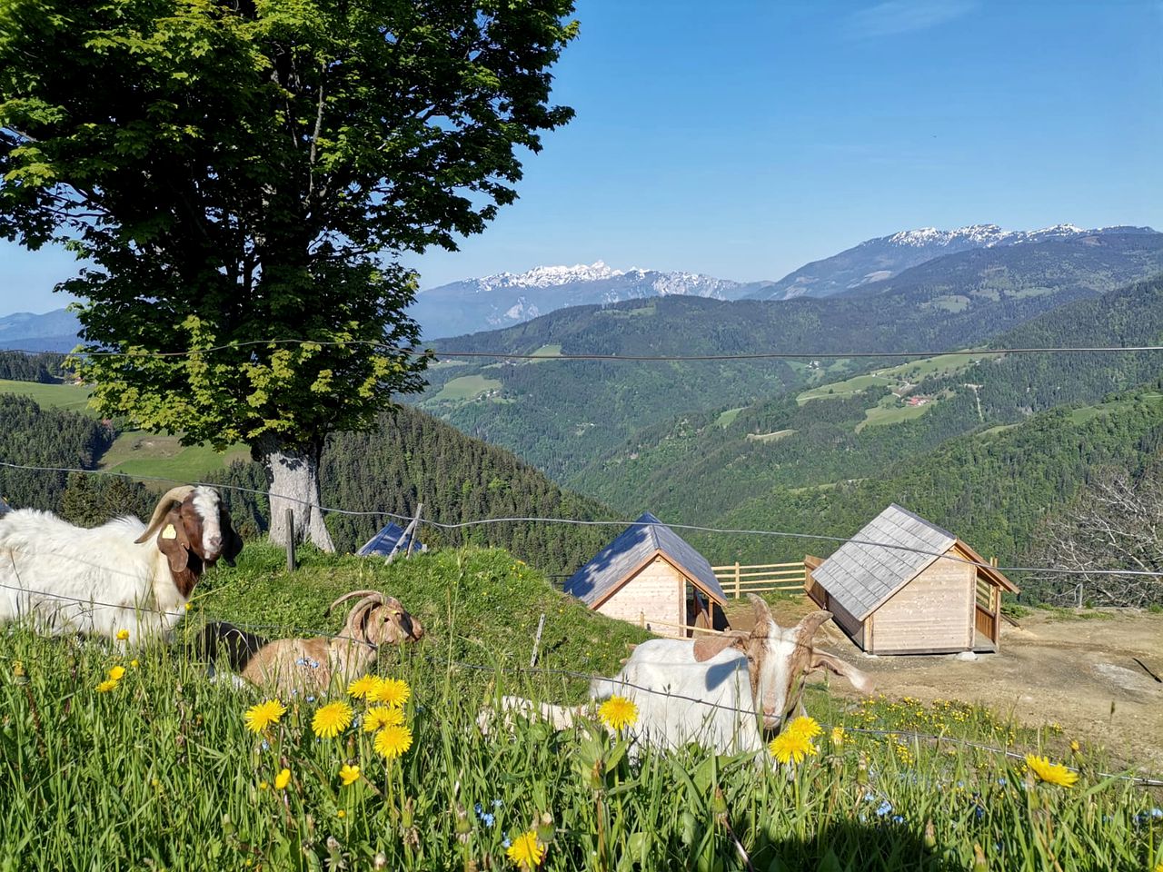 Scenic Glamping Huts with Mountain Views near Ljubno ob Savinji, Slovenia