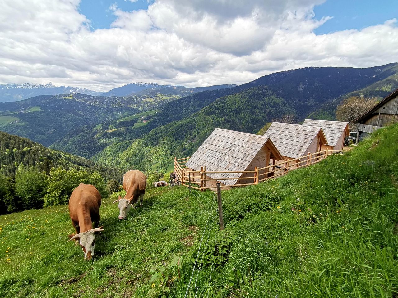 Scenic Glamping Huts with Mountain Views near Ljubno ob Savinji, Slovenia