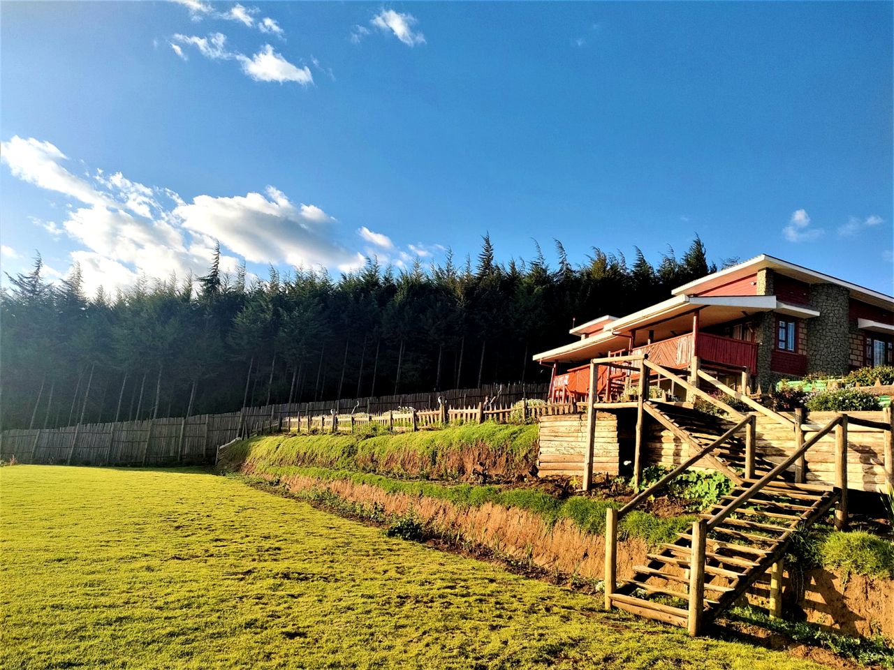 Beautiful Cottage Nestled in the Forest Overlooking Mount Longonot