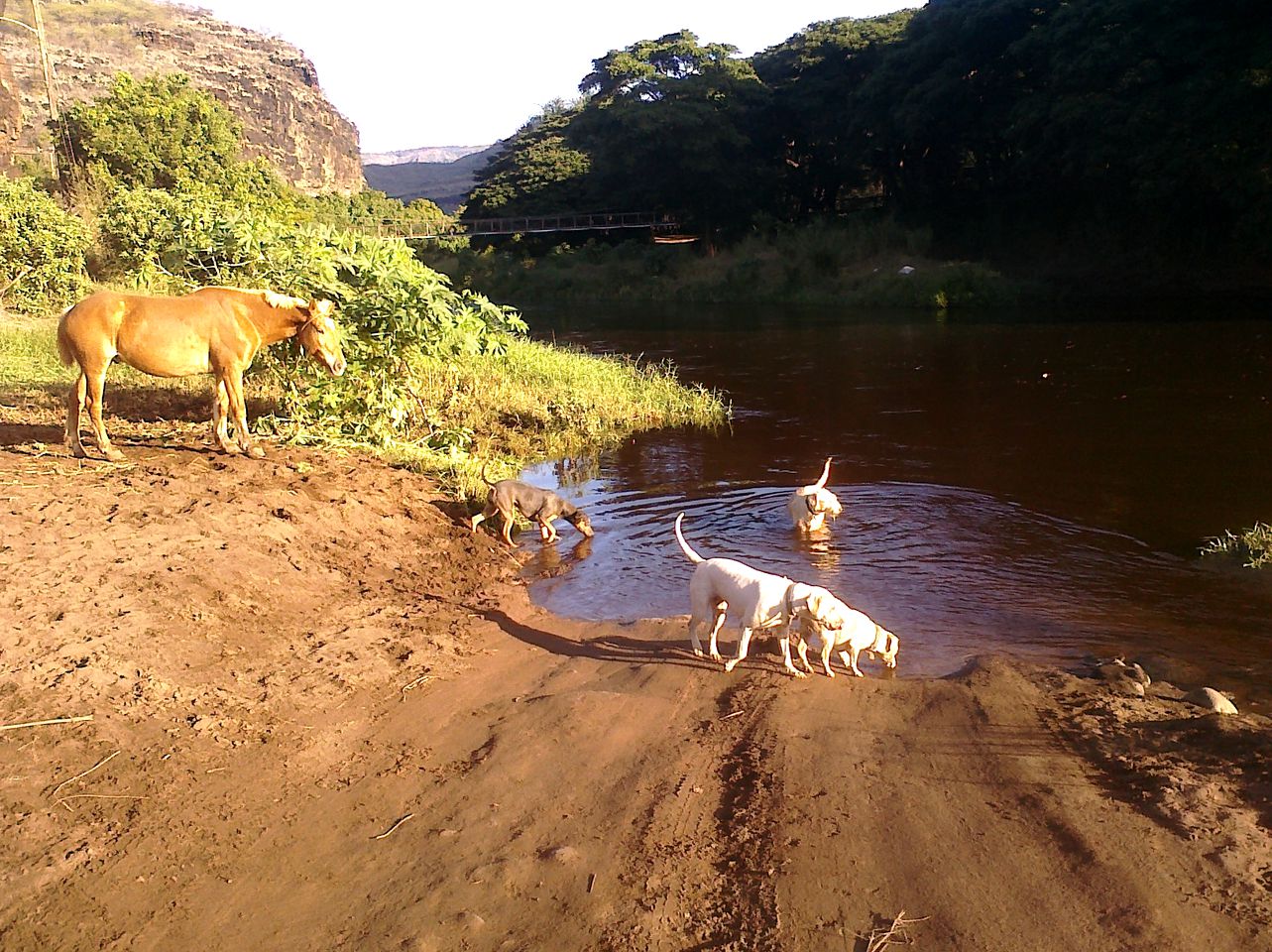 Luxury Dome Nestled in Waimea Valley, Kauai