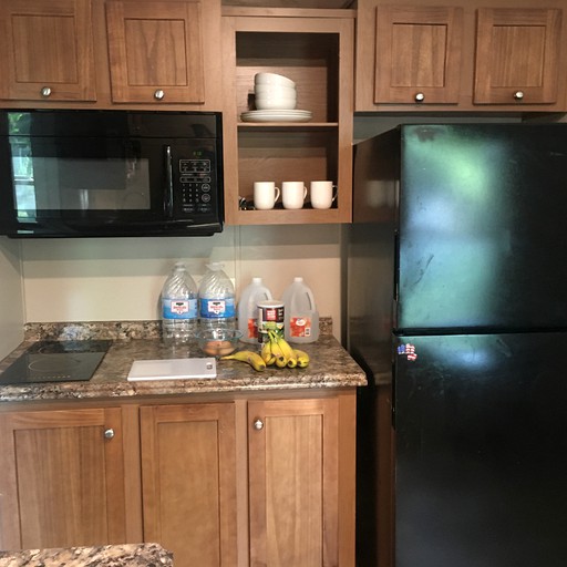 Tiny Cottage, Beautiful Lake, Tiny Houses, Wills Point, United States