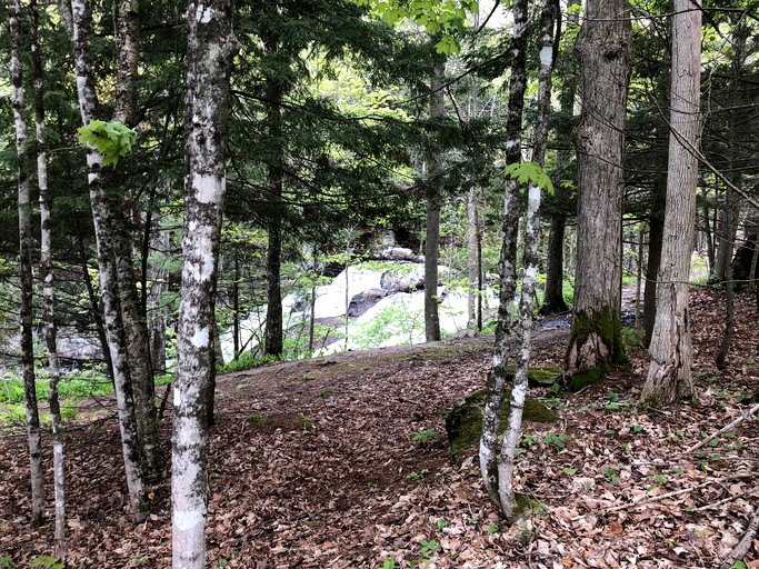 Cabins (United States of America, --, Maine)