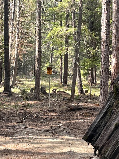 A-Frames (United States of America, --, Idaho)