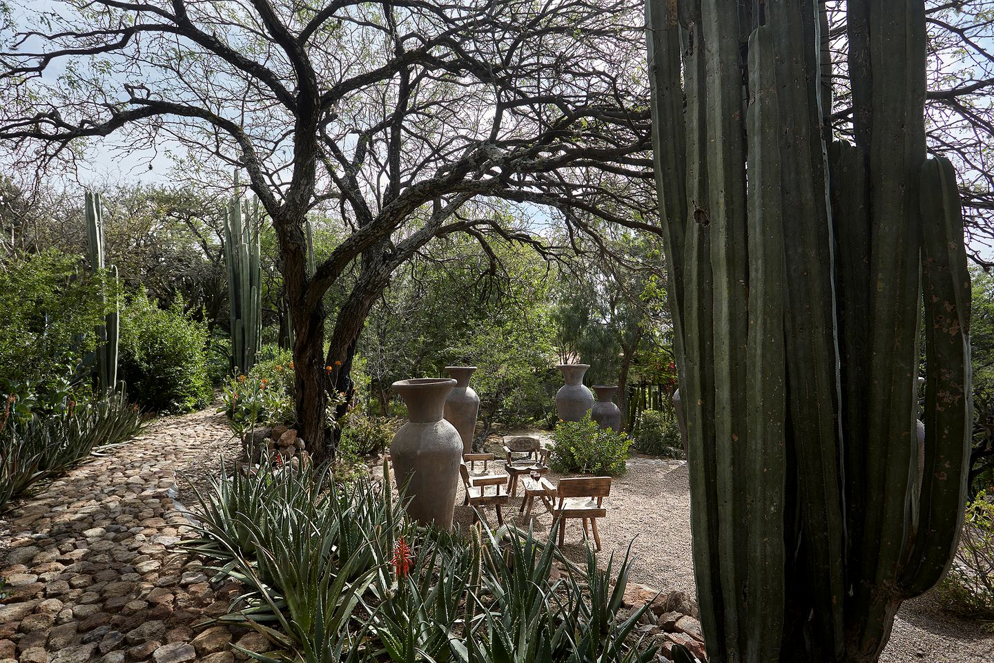 Magical Glamping Stay in an Adobe House near San Miguel de Allende