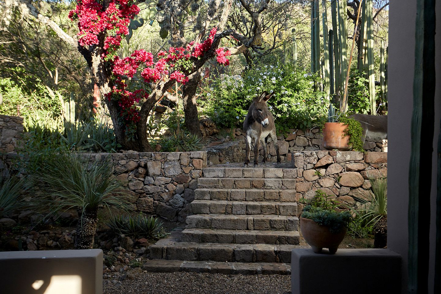 Magical Glamping Stay in an Adobe House near San Miguel de Allende