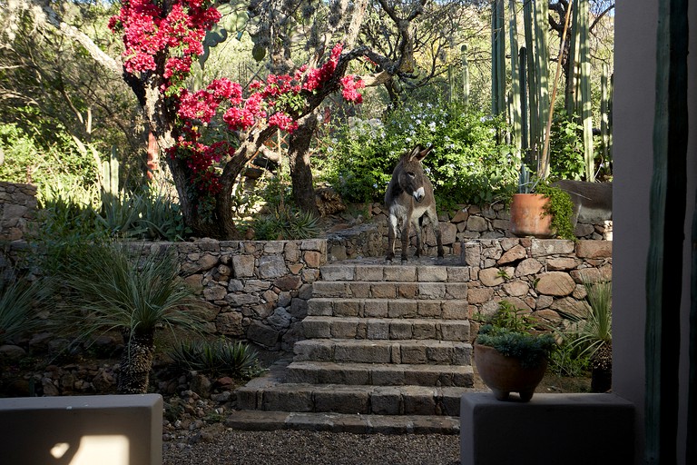 Cottages (Mexico, San Miguel de Allende, Guanajuato)