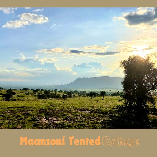 Tented Cabins (Kenya, Machakos, Machakos)