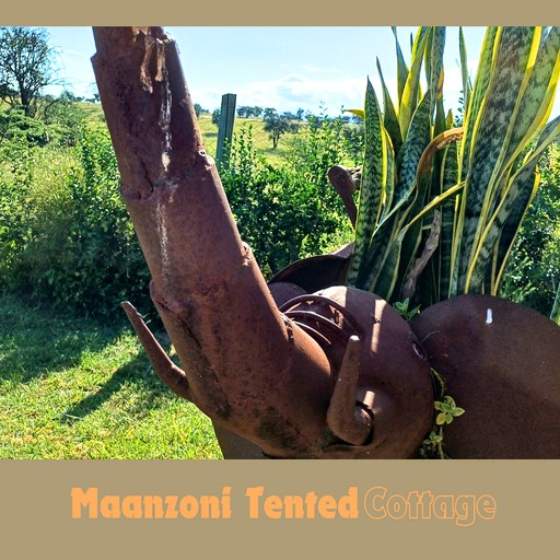 Tented Cabins (Kenya, Machakos, Machakos)