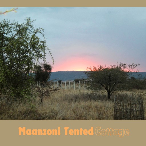 Tented Cabins (Kenya, Machakos, Machakos)