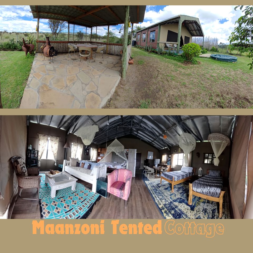 Pet -Friendly Safari Glamping in Wildlife Conservancy Corridor, for the Ultimate Kenyan Adventure