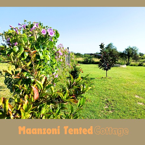 Tented Cabins (Kenya, Machakos, Machakos)