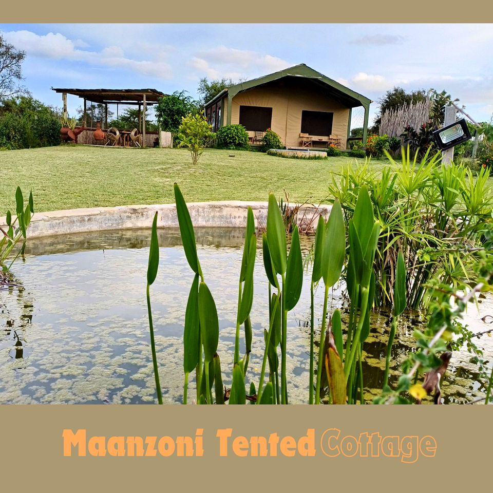 Pet -Friendly Safari Glamping in Wildlife Conservancy Corridor, for the Ultimate Kenyan Adventure