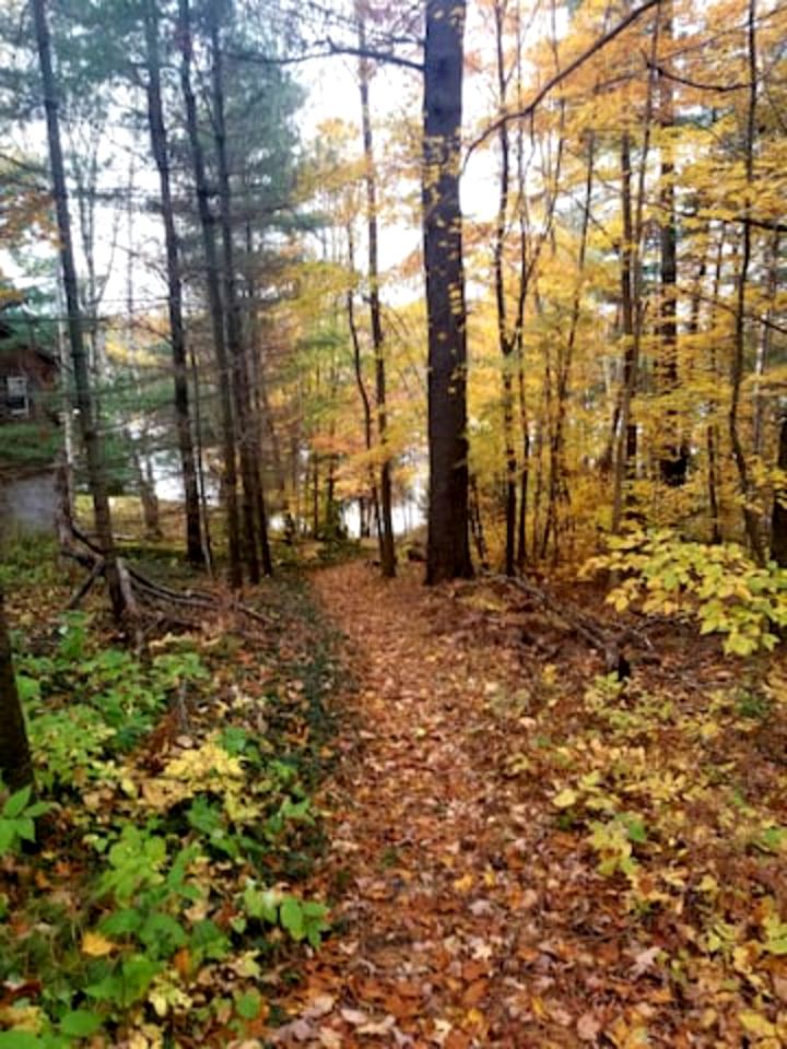 Romantic Getaway in a Tiny Cabin in McKellar, Ontario