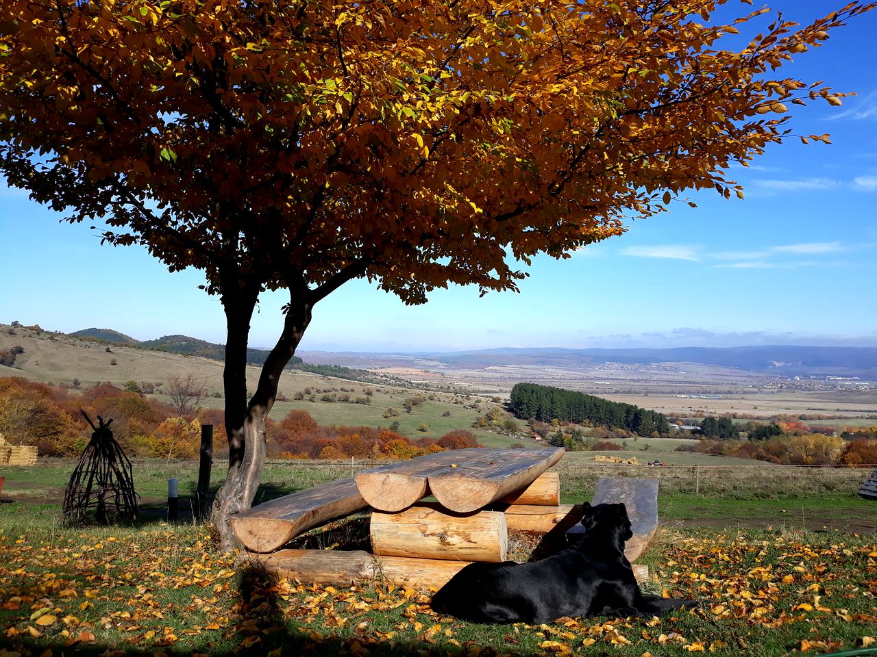 Secluded Glamping Caravan, Perfect for Retreat in Bulgarian Countryside