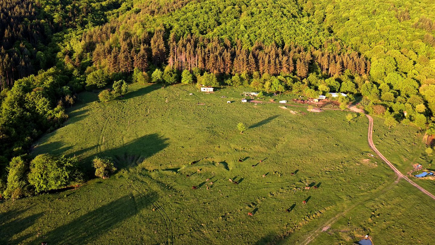 Secluded Glamping Caravan, Perfect for Retreat in Bulgarian Countryside