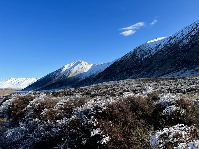 Cottages (New Zealand, --, South Island)