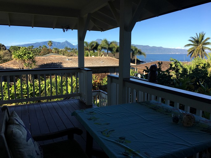 Cottages (United States of America, Maui, Hawaii)