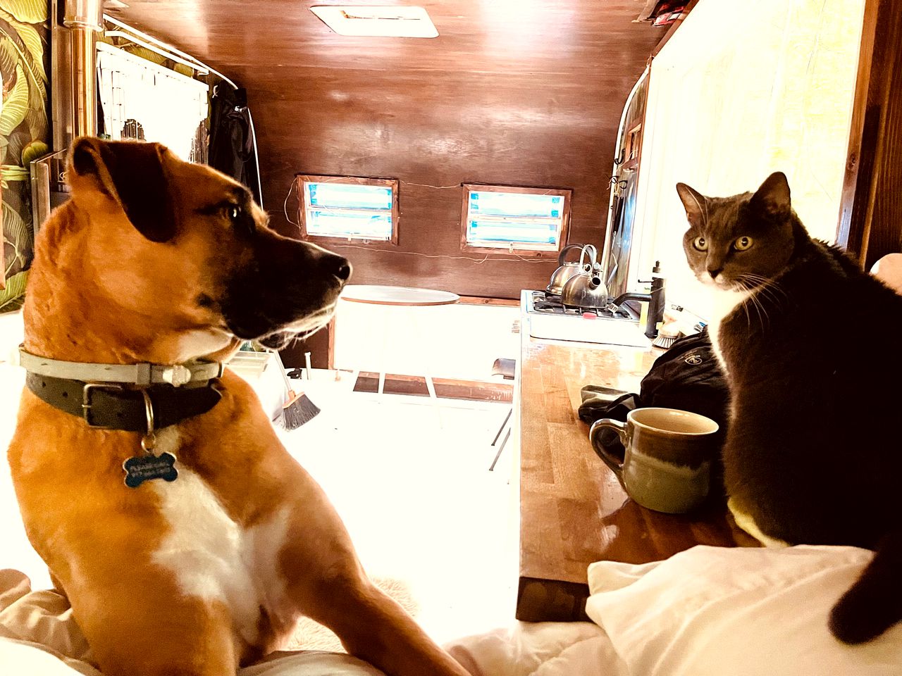 Romantic Glamping Getaway in a Pet Friendly Caravan, Ideal to Explore Hudson Valley