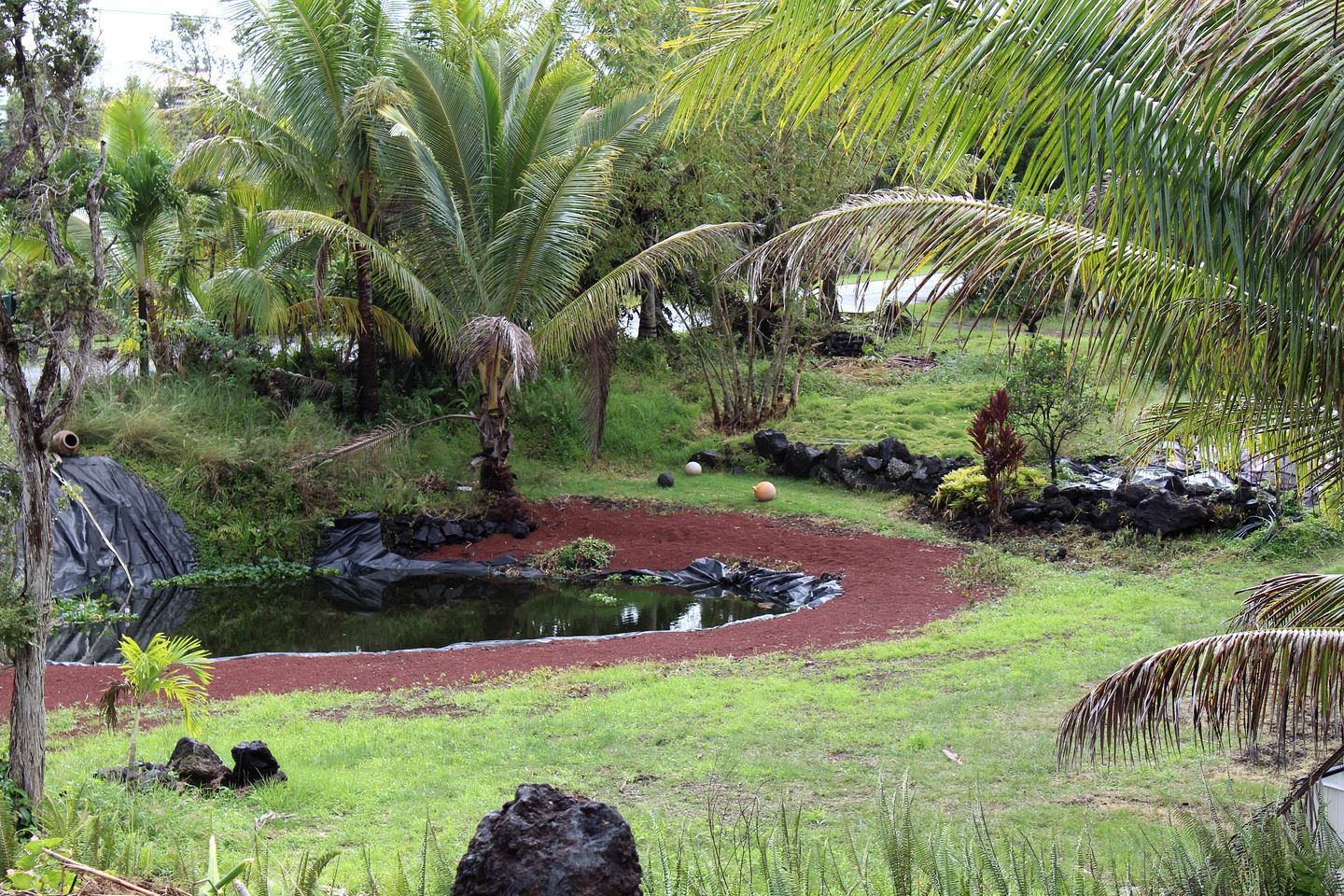 Beachfront Glamping in Kehena, Ideal for a Hawaii Nature Escape