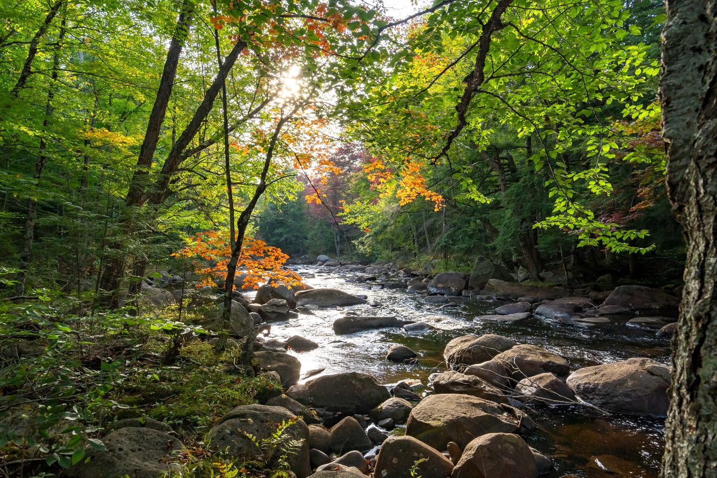 Charming Cabin for Glamping in the Adirondacks, Ideal for a Couples Getaway