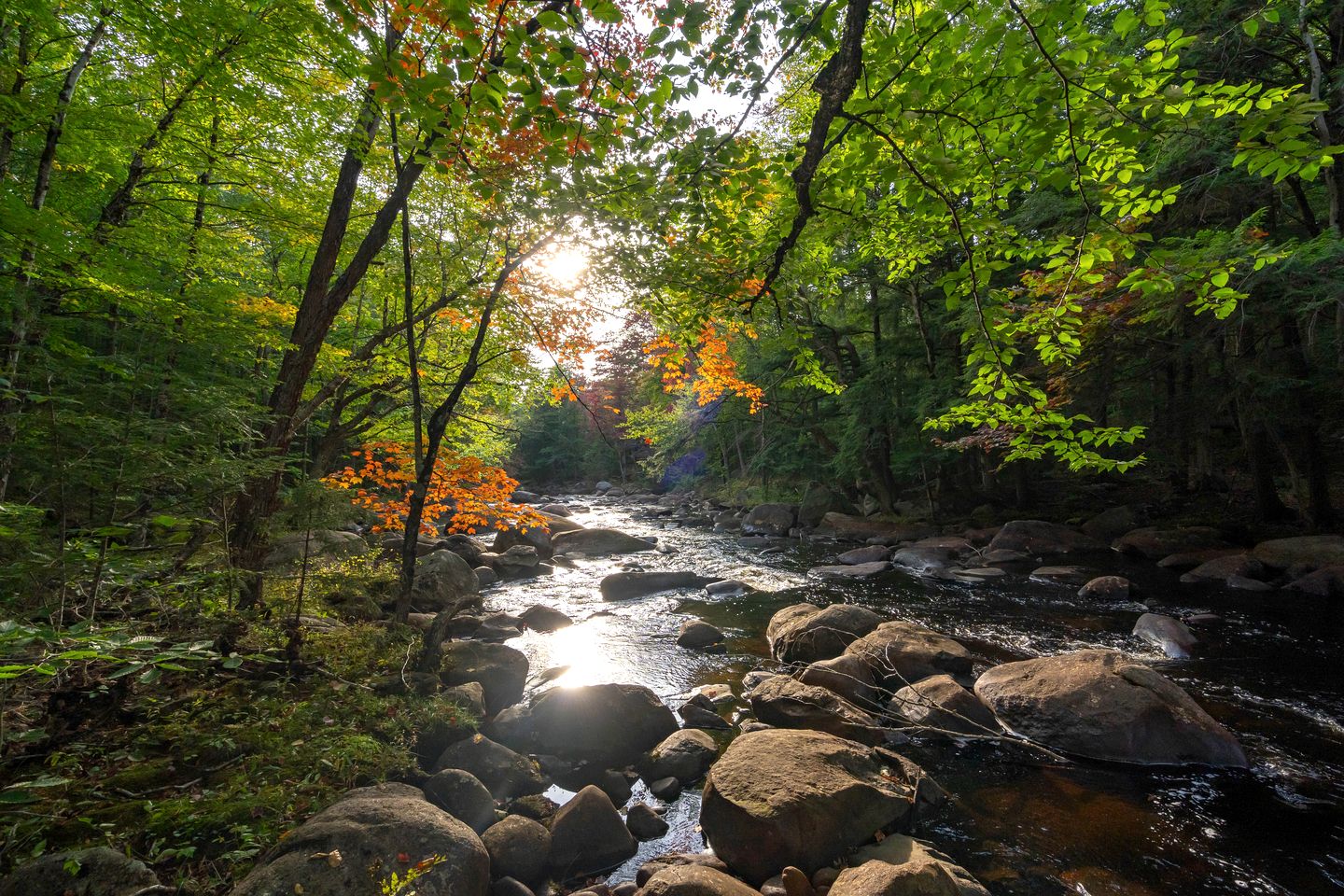 Charming Cabin for Glamping in the Adirondacks, Ideal for a Couples Getaway