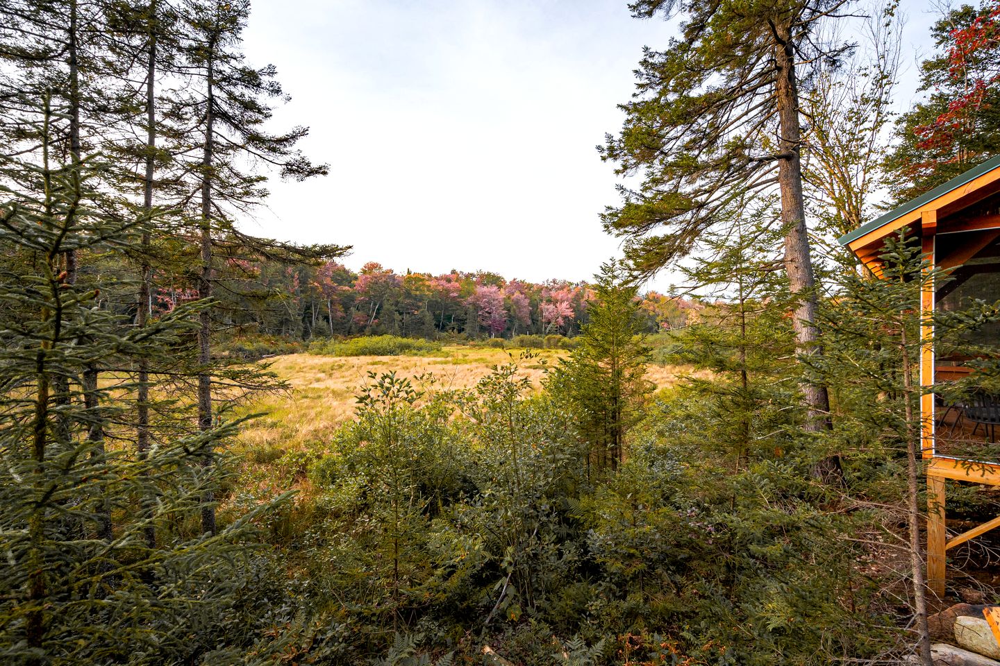 Charming Cabin for Glamping in the Adirondacks, Ideal for a Couples Getaway