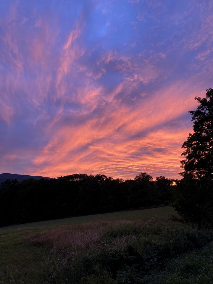 Cozy Tiny House Glamping Rental in New York with Views of the Catskills