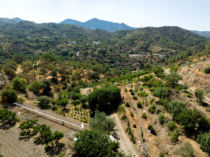 Domes (Cyprus, Agros, Limassol)