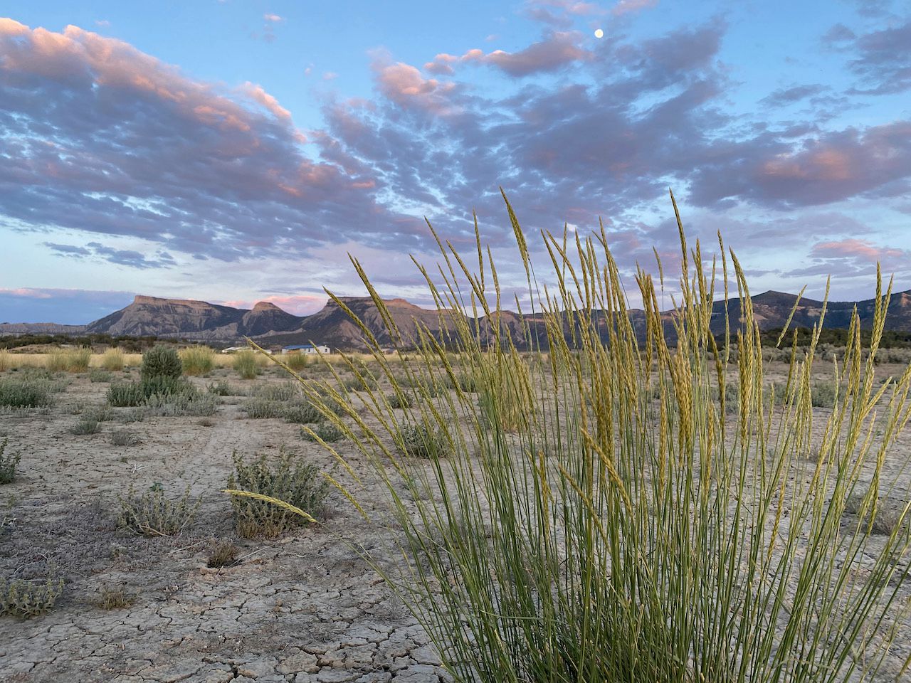 Authentic Navajo Yurt in Colorado for Romantic Mountain Escapes Near Mesa Verde National Park