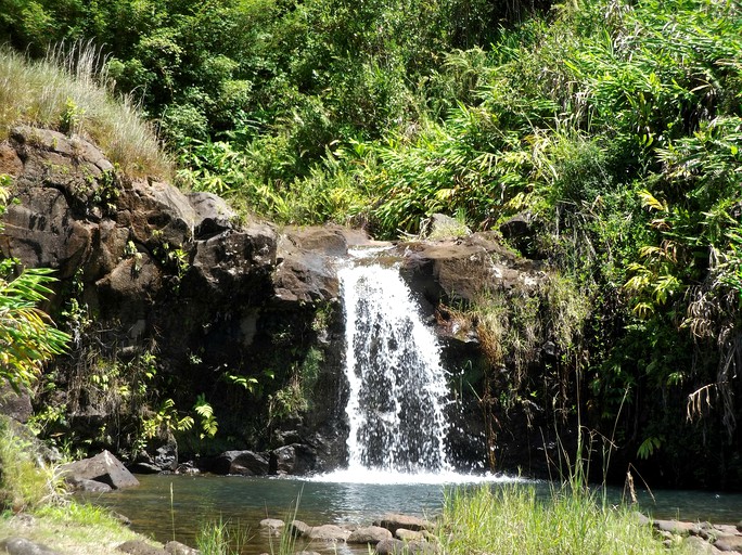 Cabins (United States of America, Hilo, Hawaii)