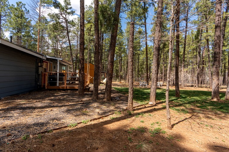 Cabins (United States of America, Lakeside, Arizona)