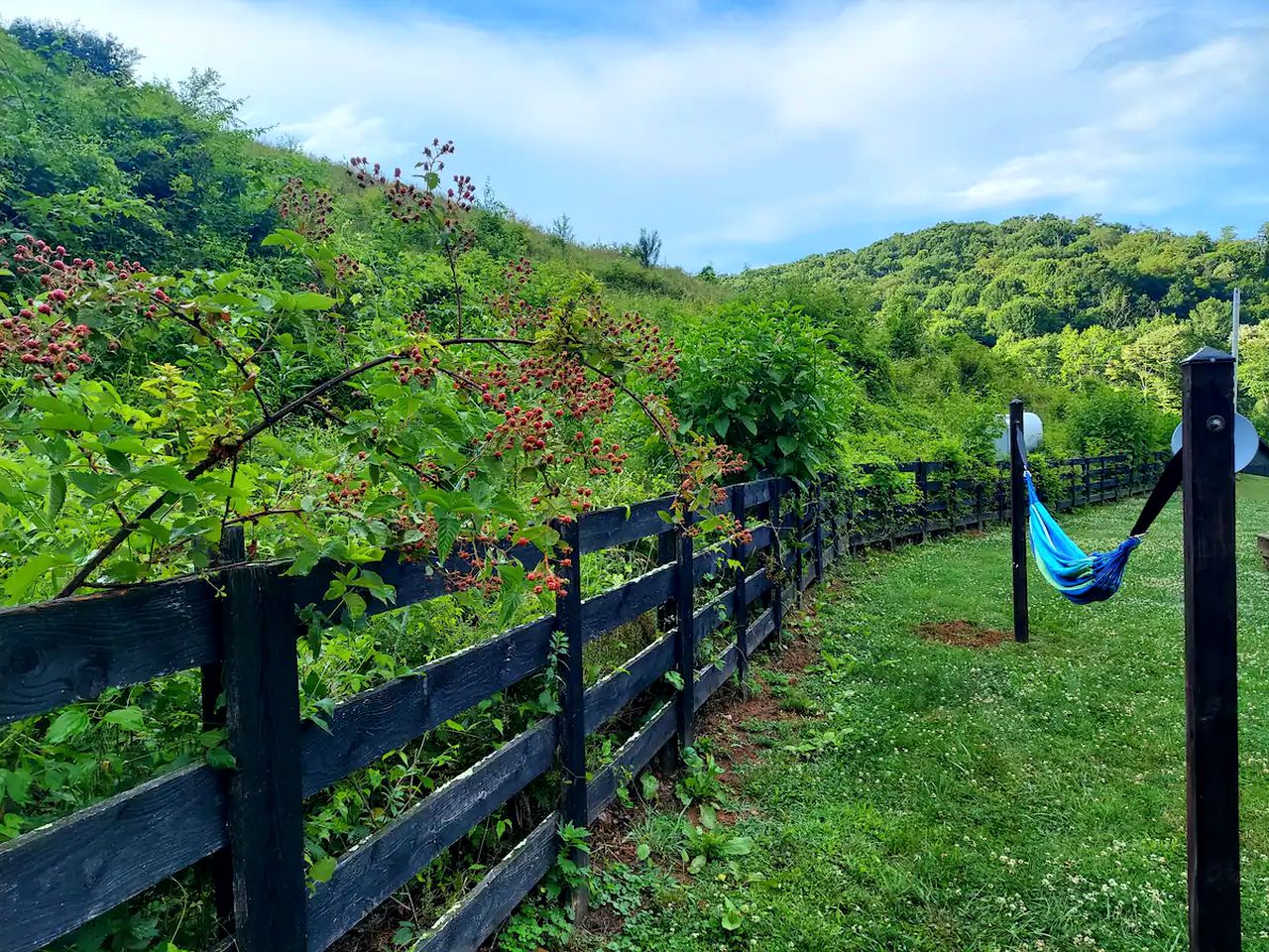 Cabin Retreat near Grayson Highlands State Park for Family Glamping Stays in Virginia