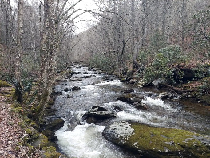 Cabins (United States of America, Mouth of Wilson, Virginia)