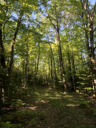 Yurts (Canada, Tehkummah, Ontario)