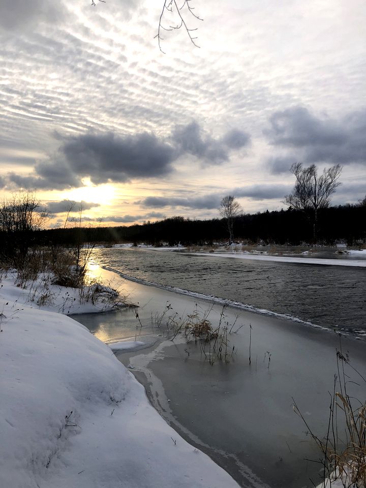 Pet-Friendly Yurt Escape in the Ontario Countryside - Perfect for Romantic Getaways in Tehkummah
