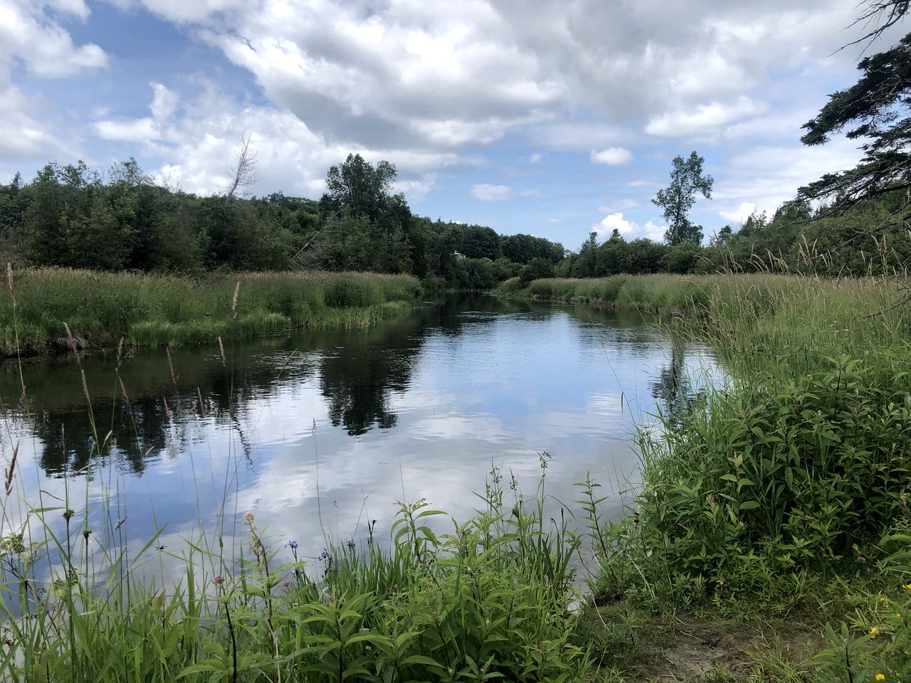 Pet-Friendly Yurt Escape in the Ontario Countryside - Perfect for Romantic Getaways in Tehkummah