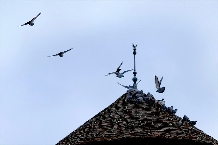 Towers (France, Corgoloin, Bourgogne-Franche-Comté)