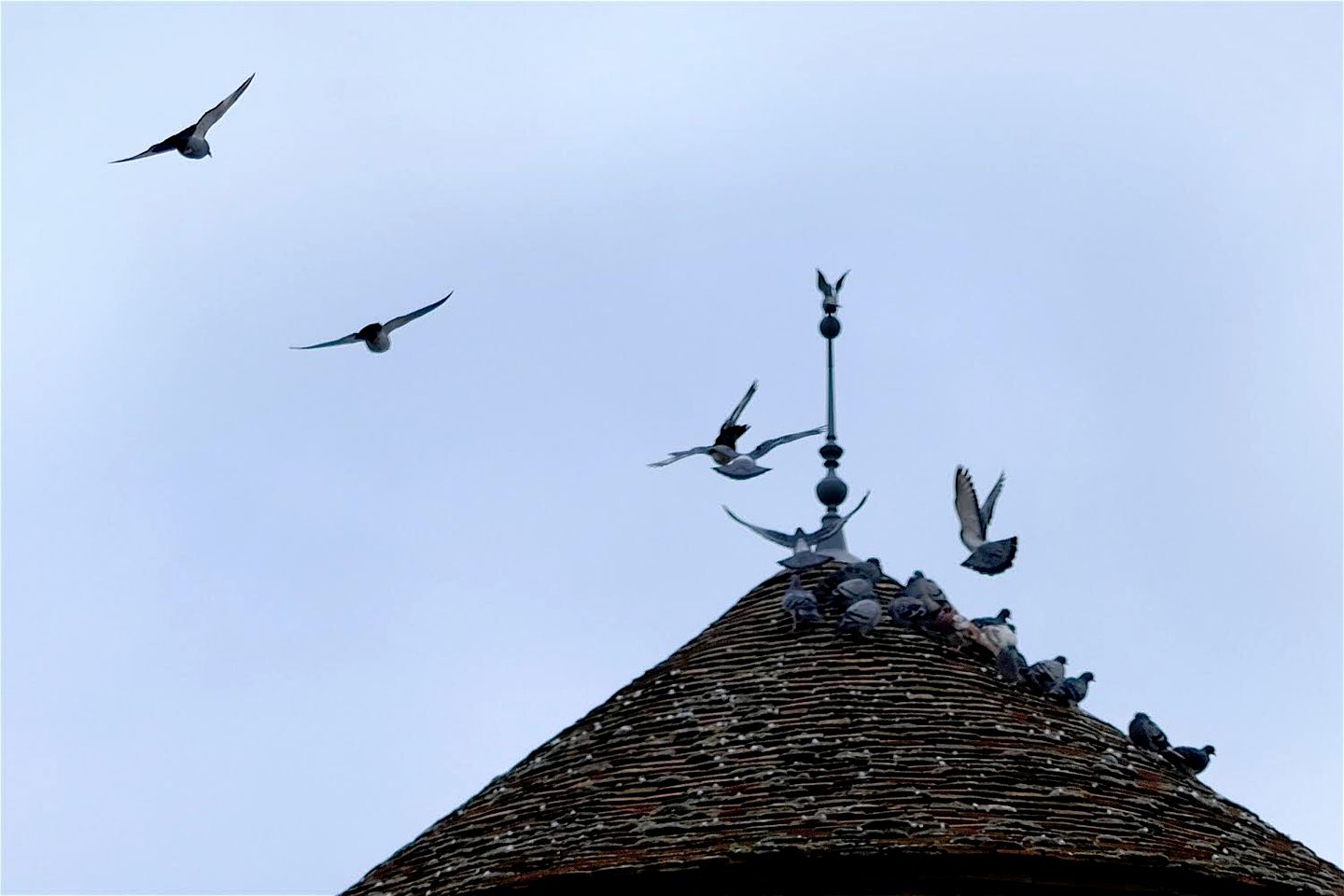 Medieval Converted Watchtower Retreat in the Heart of Wine Country, Corgoloin, France