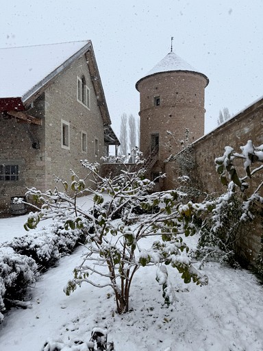Towers (France, Corgoloin, Bourgogne-Franche-Comté)