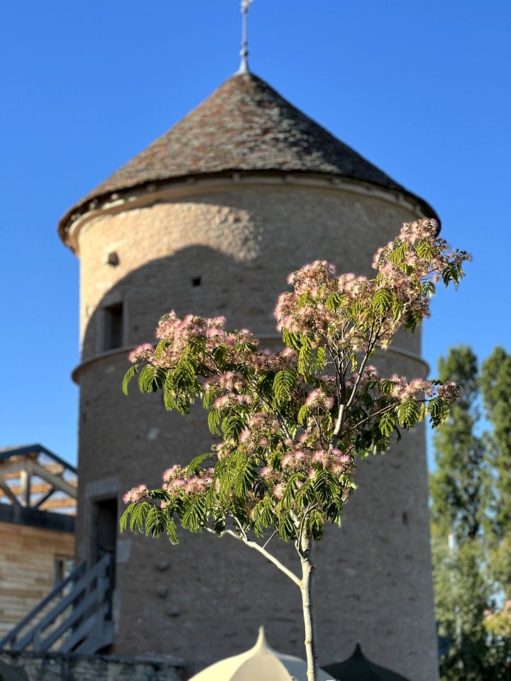 Medieval Converted Watchtower Retreat in the Heart of Wine Country, Corgoloin, France