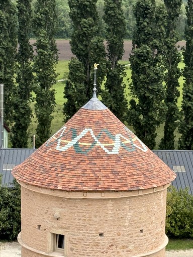 Towers (France, Corgoloin, Bourgogne-Franche-Comté)