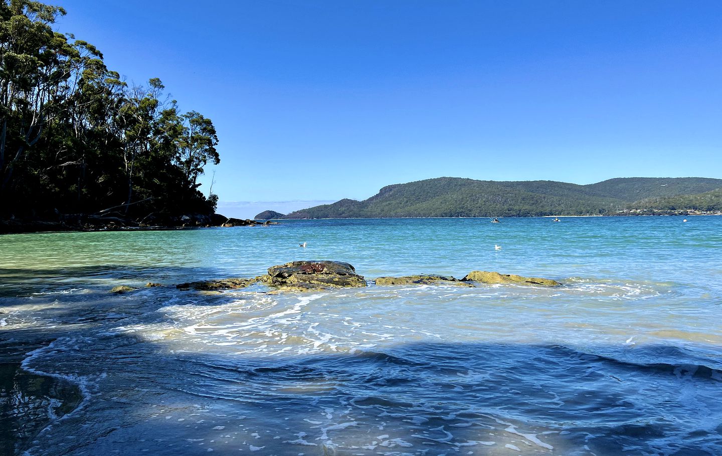 Stunning Beach House Rental for Family and Group Glamping Vacations in Tasmania