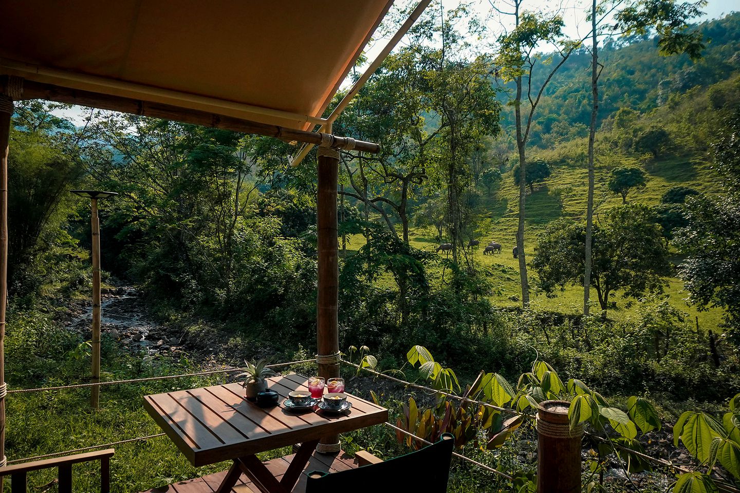 Luxurious Safari Tents with Comfy Interior and Outdoor Bath in Thailand