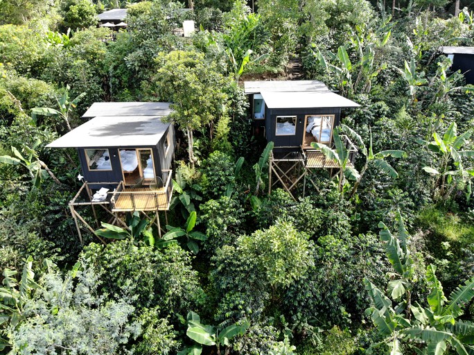 Cabins (Colombia, Zipcaon, Cundinamarca)