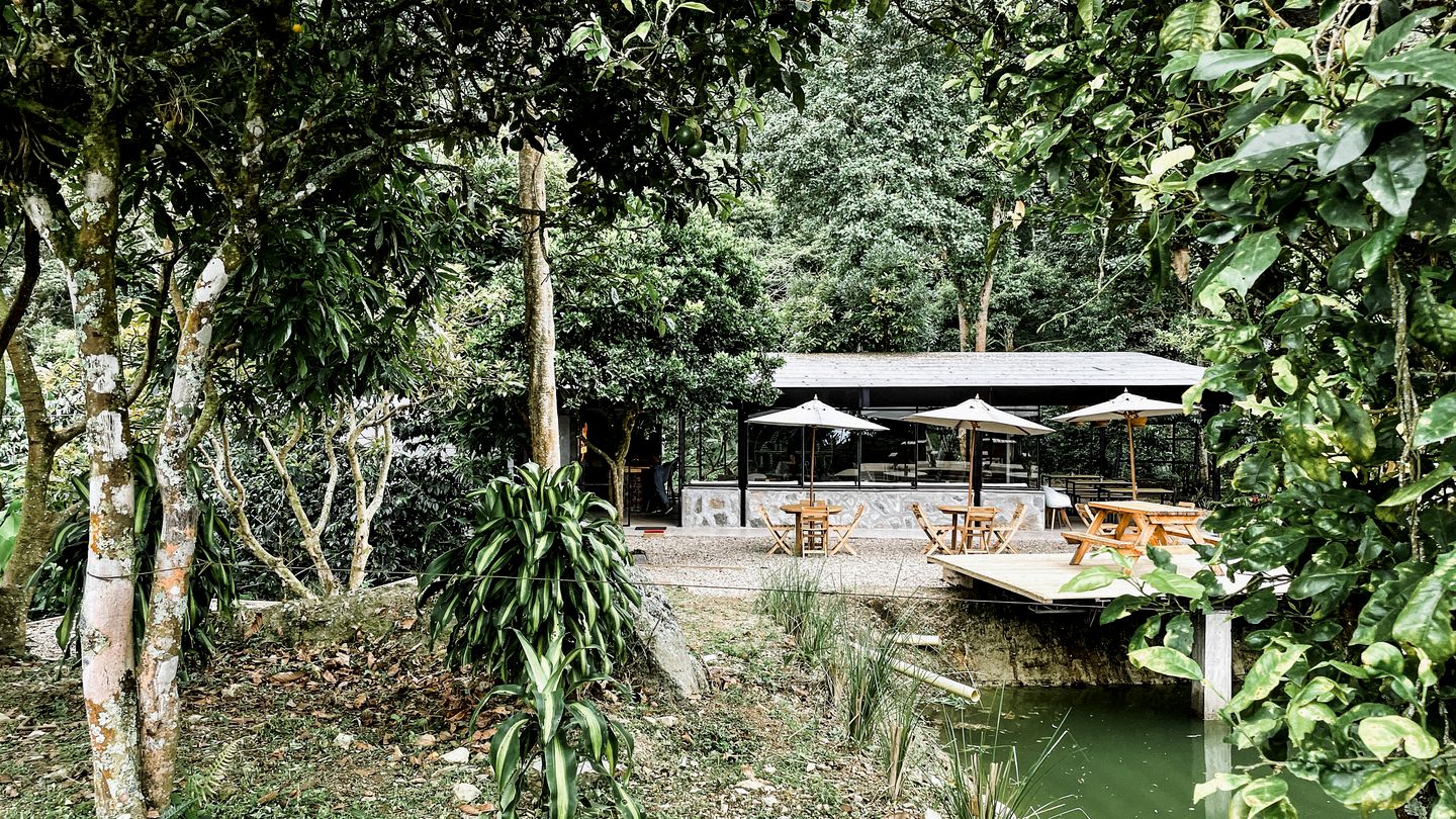 Off-Grid Romantic Cabins with Breathtaking Forest Views in Colombia