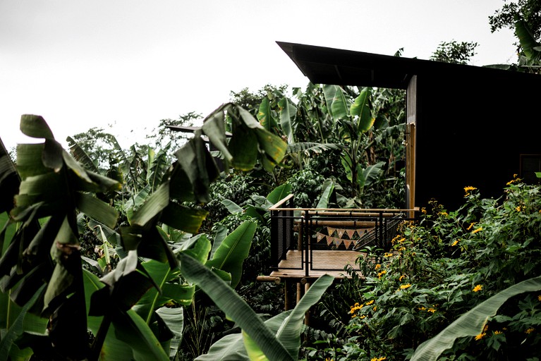 Off-Grid Romantic Cabins with Breathtaking Forest Views in Colombia