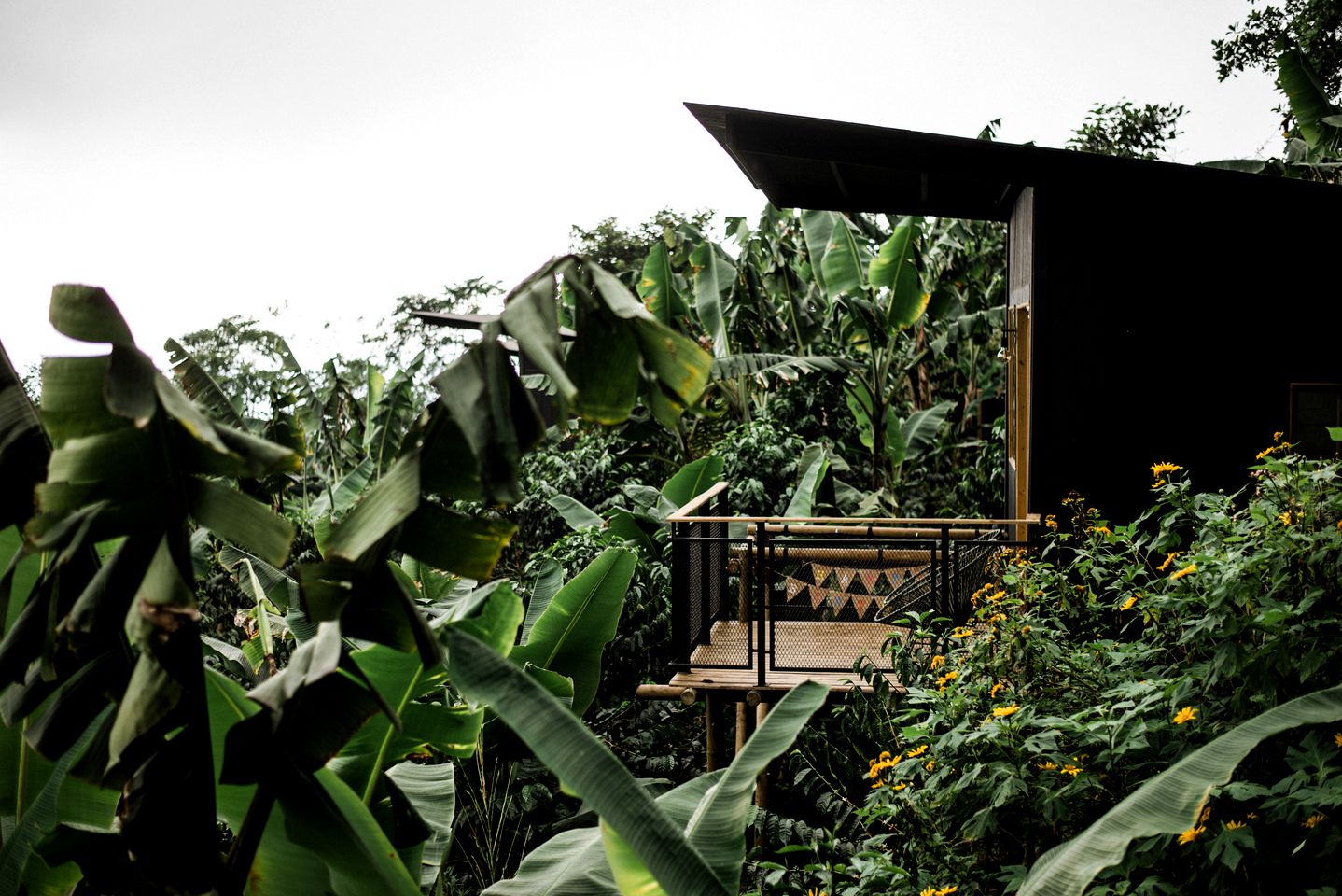 Off-Grid Romantic Cabins with Breathtaking Forest Views in Colombia